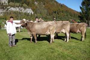 005Schneuter mittlere von links nach rechts